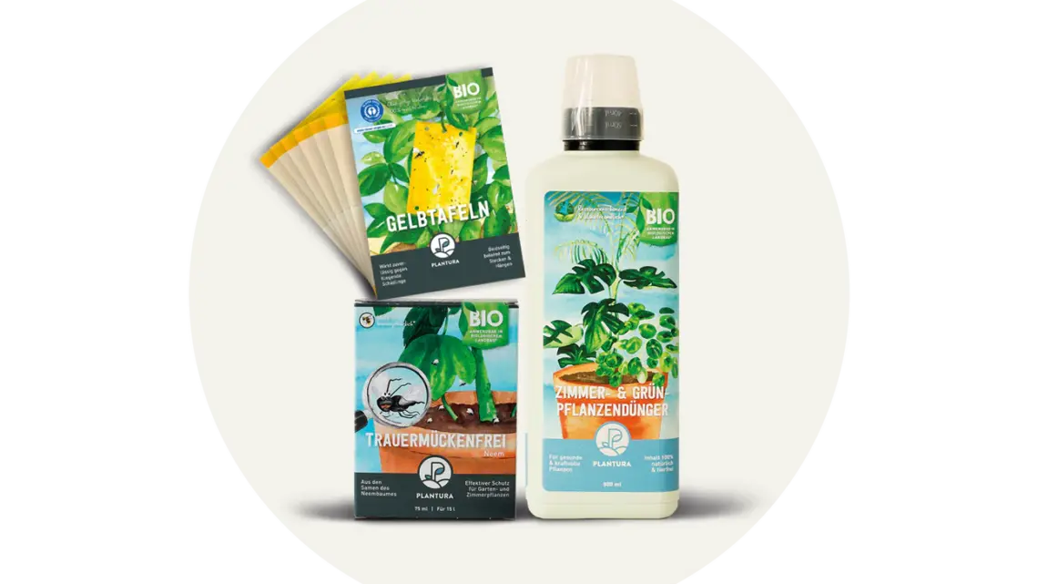 Plantura Shop: Schädlinge & Trauermücken bekämpfen – die besten Produkte im Überblick