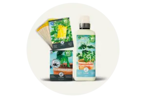 Beginne jetzt Geld sparen