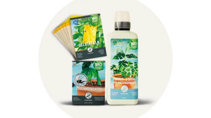 Plantura Shop: Schädlinge & Trauermücken bekämpfen – die besten Produkte im Überblick